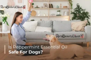 Is Peppermint Oil Safe for Dogs? A Complete Guide for Pet Owners