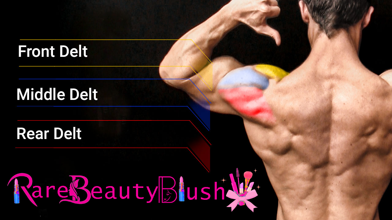 Unlocking Stronger Shoulders A Complete Guide to Building the Side Delts