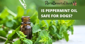 Is Peppermint Oil Safe for Dogs? A Complete Guide for Pet Owners